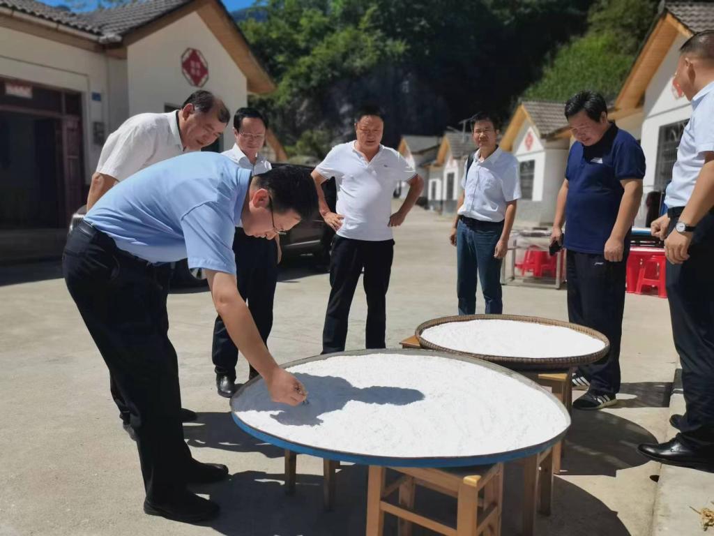 【实践活动专栏】张彦铎赴潮水河村调研指导乡村振兴工作